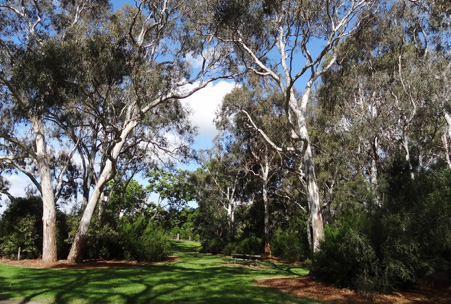 Yarra Bend Park